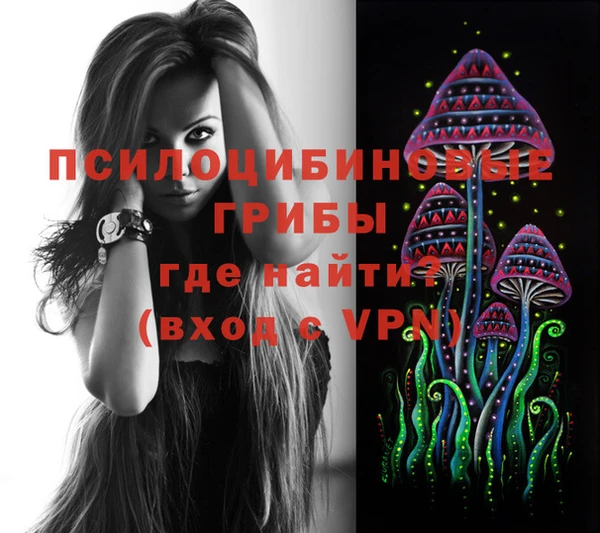 бошки Богородицк