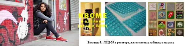 прущий лед Богданович