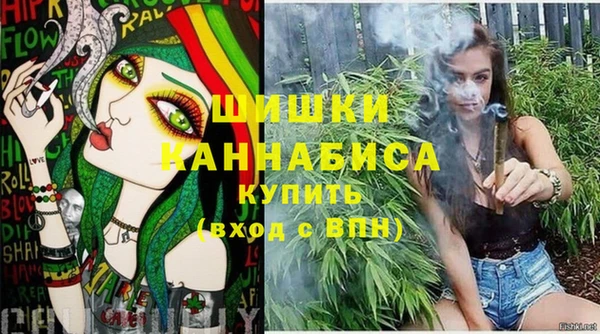 бошки Богородицк