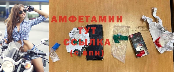 прущий лед Богданович