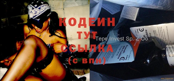 прущий лед Богданович