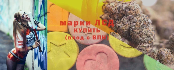 прущий лед Богданович