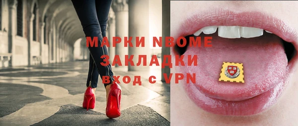 прущий лед Богданович