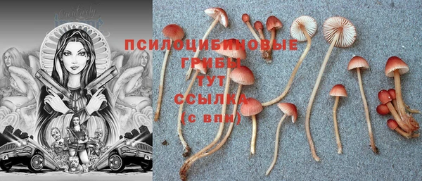 прущий лед Богданович